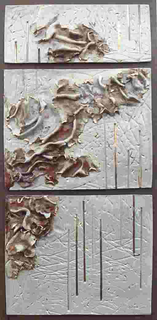 acqua e terra 2p.JPG (25331 byte)