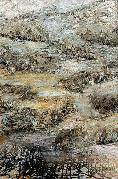 piena.jpg (57828 byte)