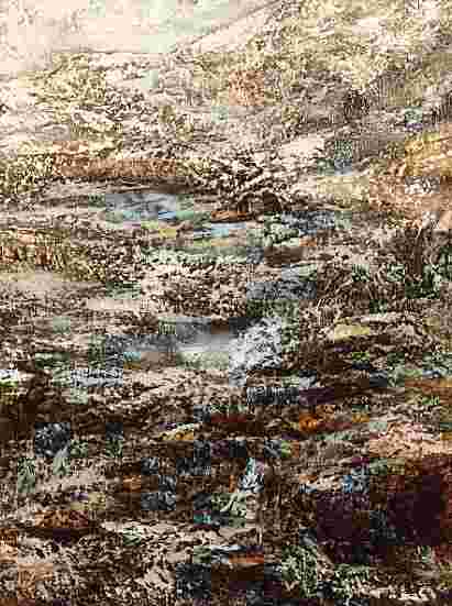 danza di colori sull'acqua p.jpg (23296 byte)