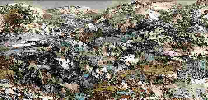 montagna in fiorep.jpg (26747 byte)